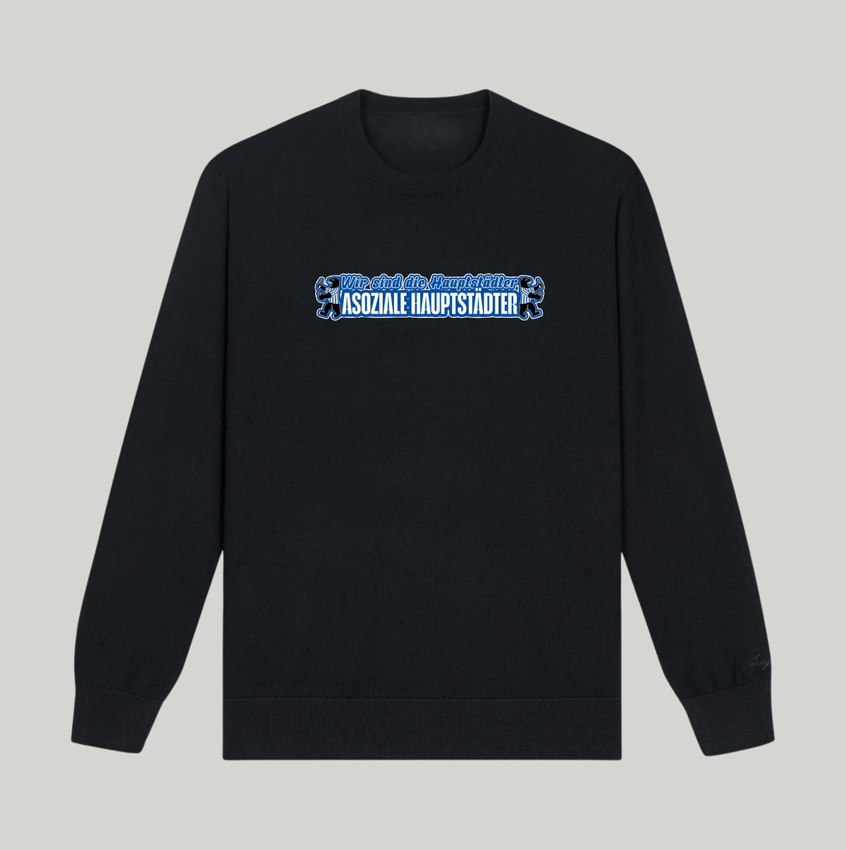Asoziale Hauptstädter Pullover